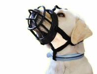 Maulkorb mit Kopfriemen Stirnriemen